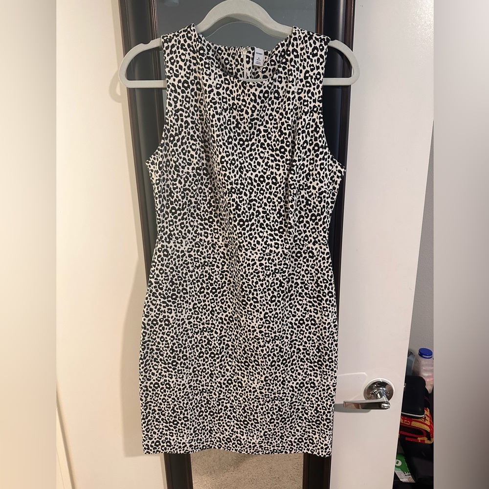 Women’s business dress